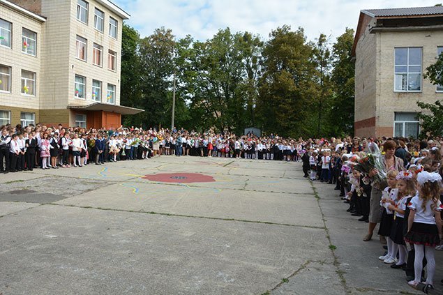 pdz-(43)