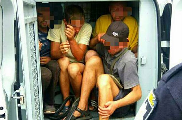 nark